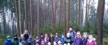 Zdoben� strome�k� pro zv���tka.